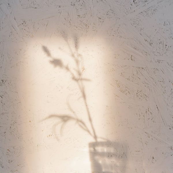 Person meditating in a calm natural environment, symbolizing peace of mind.